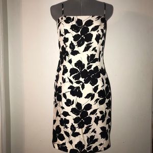 Ann Taylor Dress